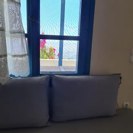 Sophie 2 *